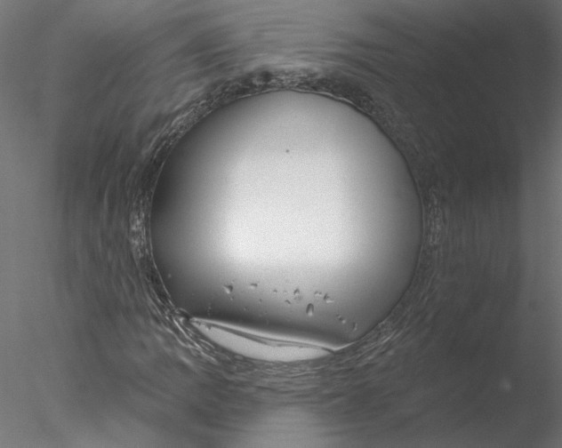 X0000076381109200611031622