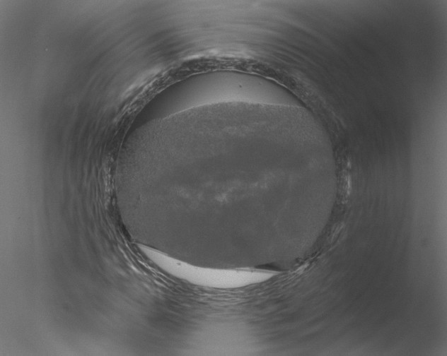 X0000076381110200611031622