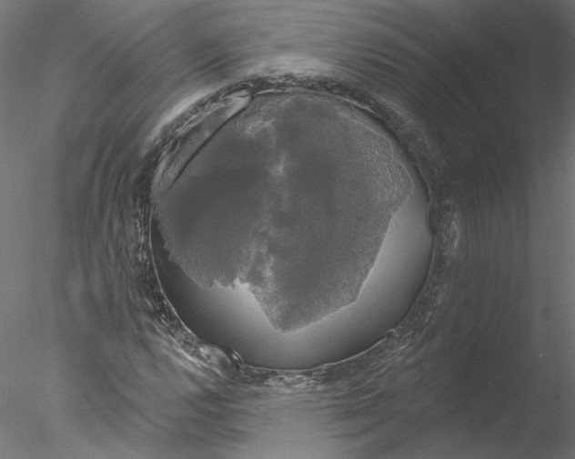 X0000076381112200611031622