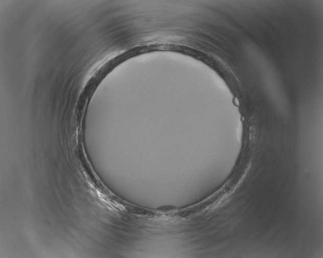 X0000076381117200611031622