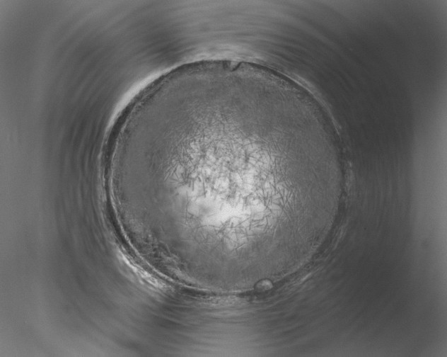 X0000076381120200611031622