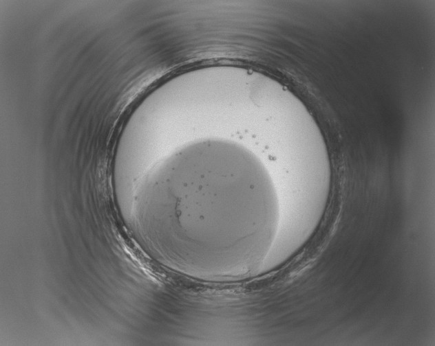 X0000076381121200611031622