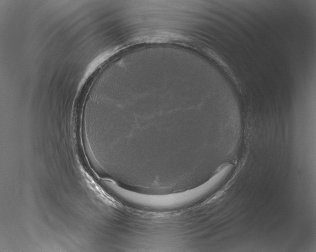 X0000076381122200611031622