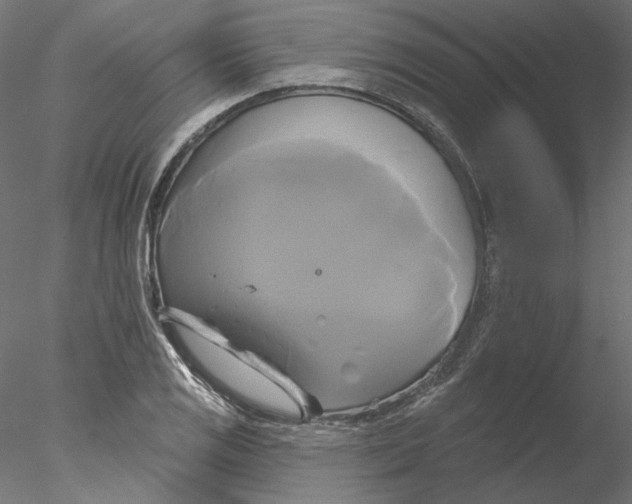 X0000076381125200611031622