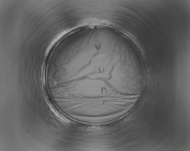 X0000076381128200611031622