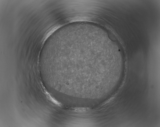 X0000076381129200611031622