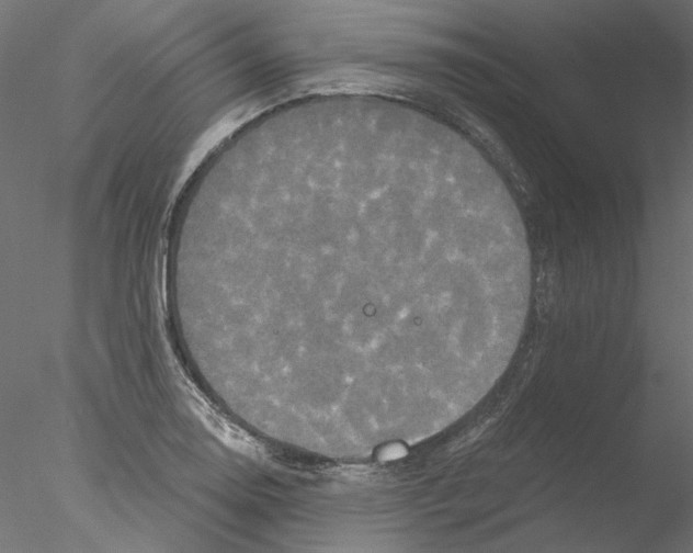 X0000076381130200611031622