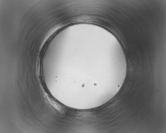 X0000076381131200611031622