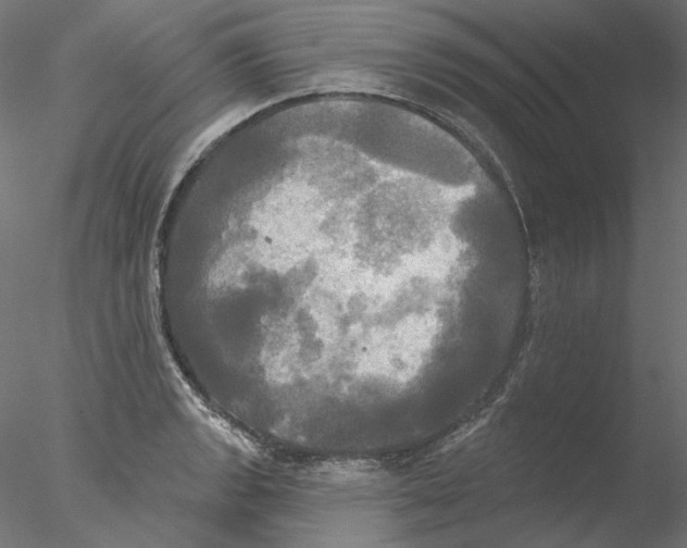 X0000076381133200611031622