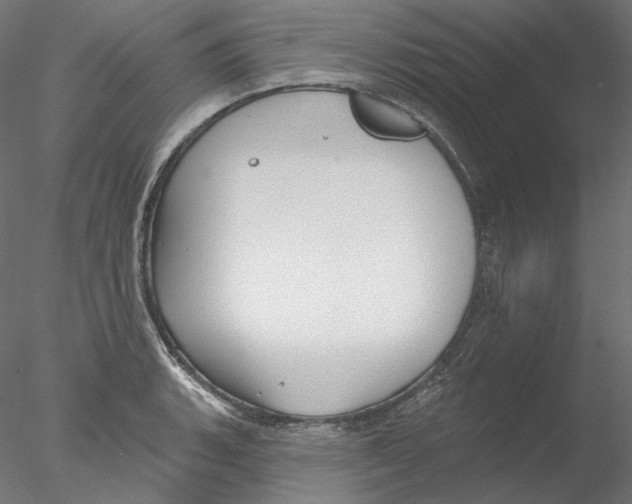 X0000076381135200611031622