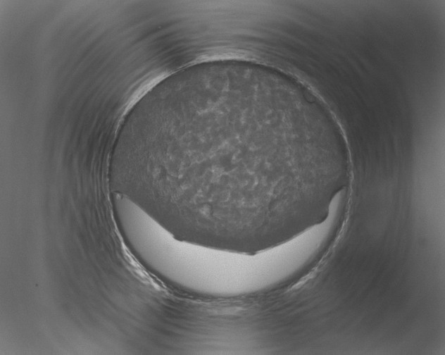 X0000076381137200611031622