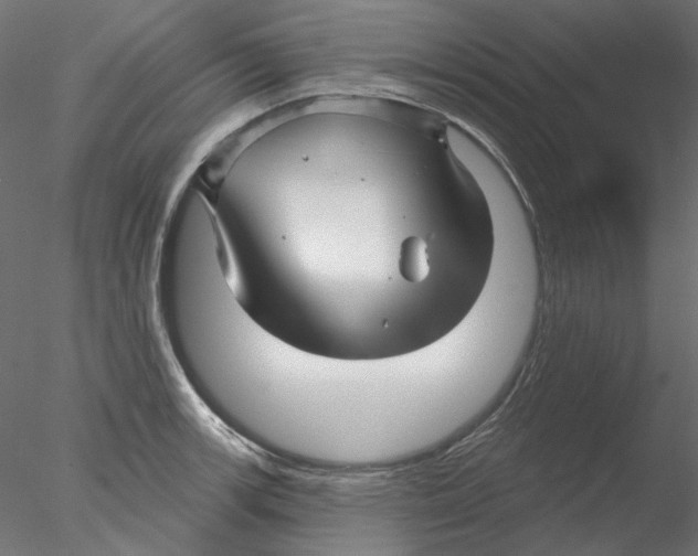 X0000076381139200611031623