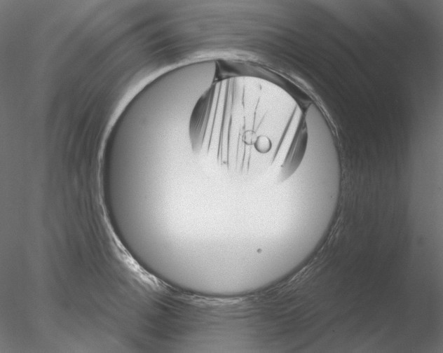 X0000076381140200611031623