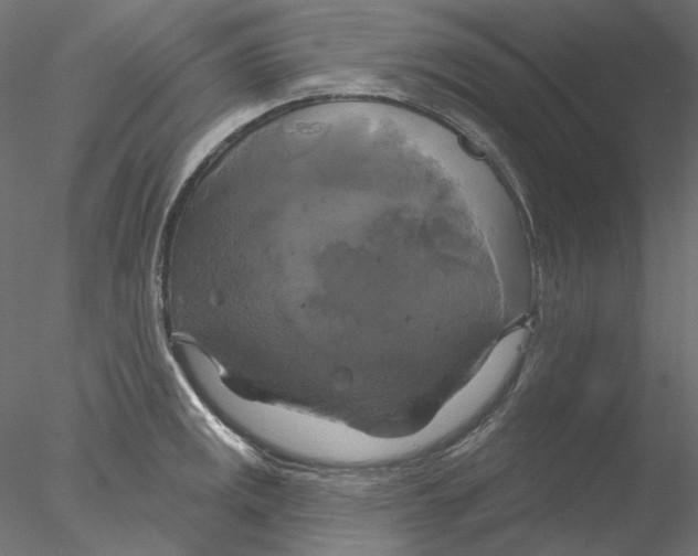 X0000076381141200611031623