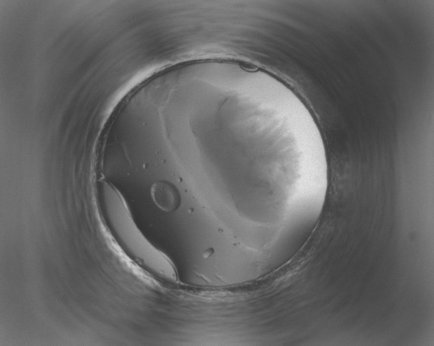 X0000076381142200611031623