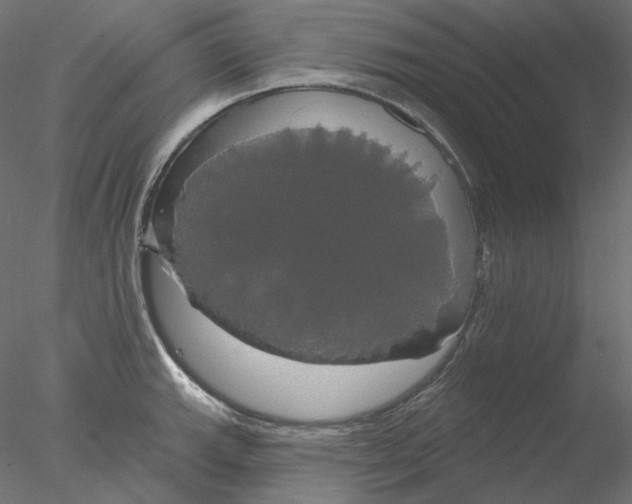 X0000076381143200611031623