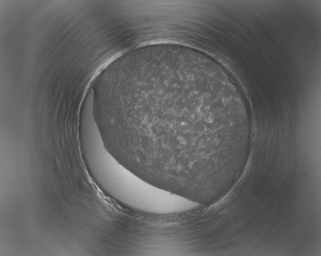 X0000076381145200611031623