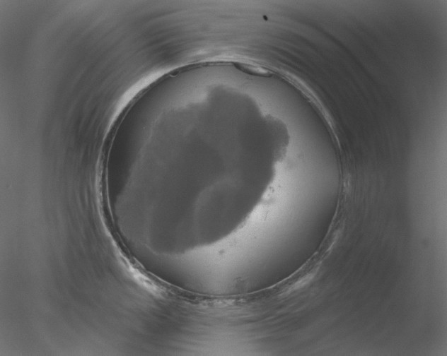 X0000076381149200611031623