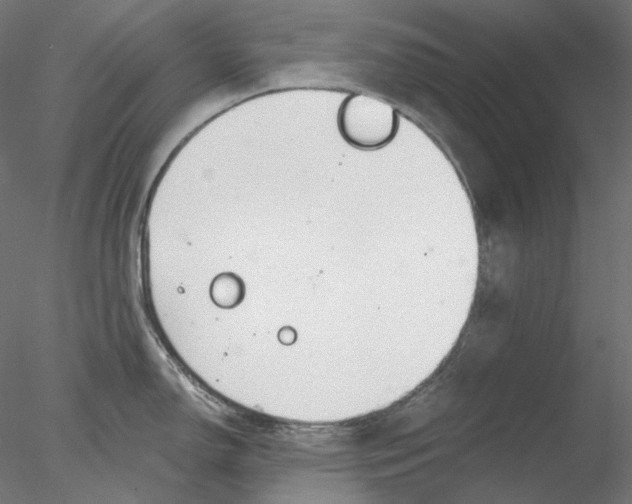 X0000076381150200611031623