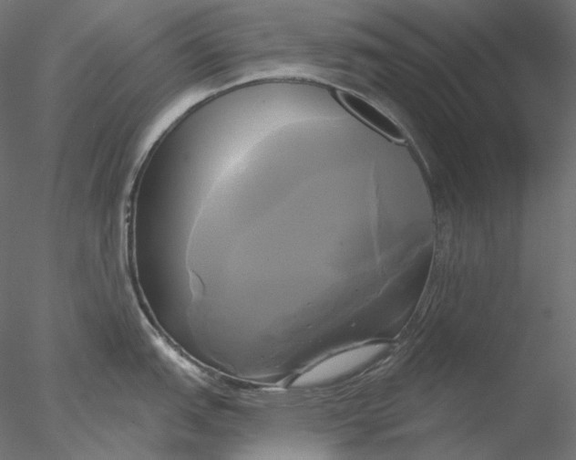 X0000076381151200611031623