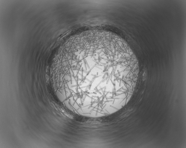 X0000076381156200611031622