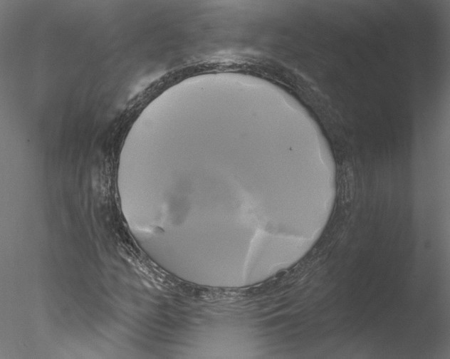 X0000076381158200611031622