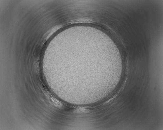 X0000076381162200611031622