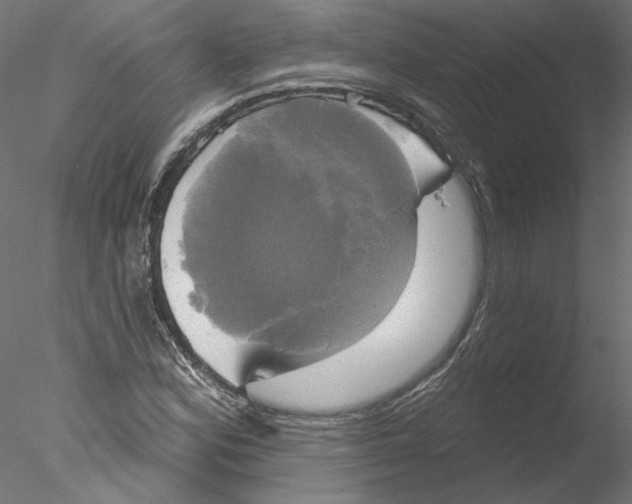 X0000076381164200611031622