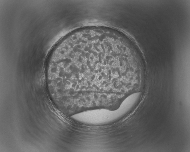 X0000076381167200611031622