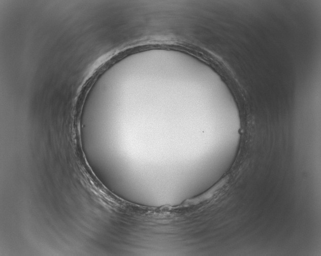 X0000076381168200611031622