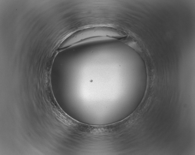 X0000076381169200611031622