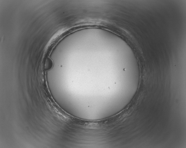 X0000076381172200611031622