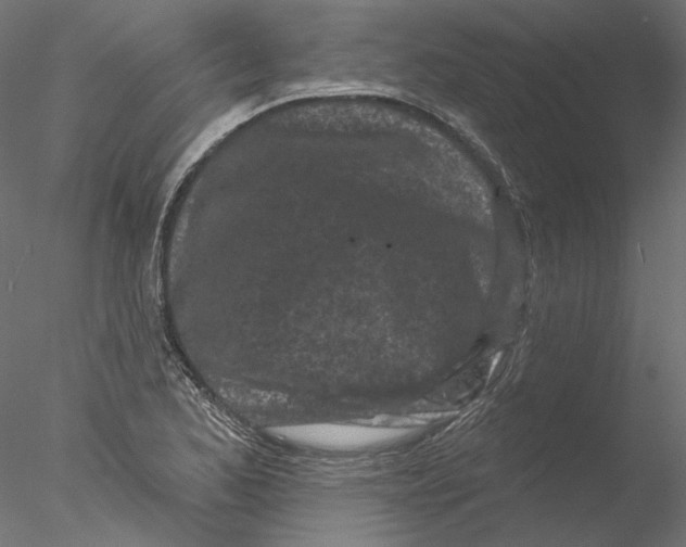 X0000076381173200611031622