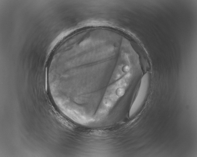 X0000076381175200611031622