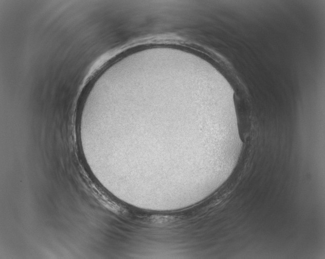 X0000076381176200611031622