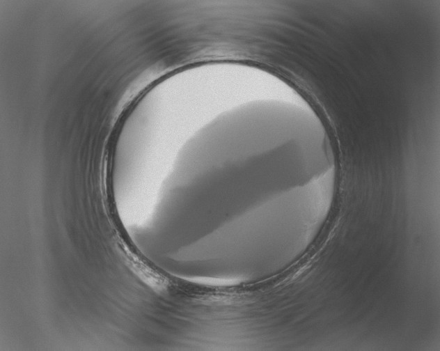 X0000076381179200611031621