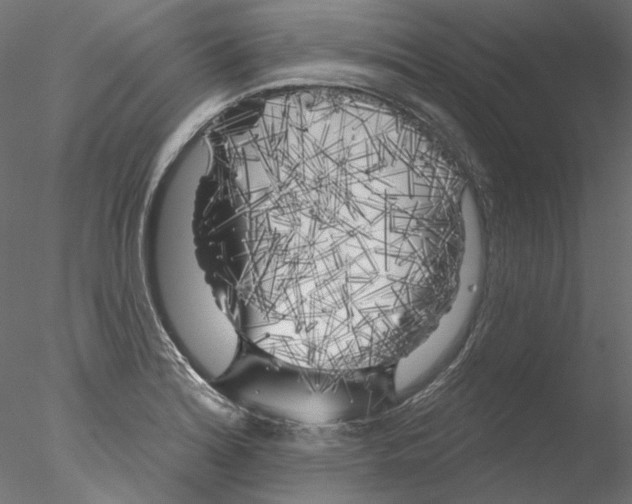 X0000076381180200611031621