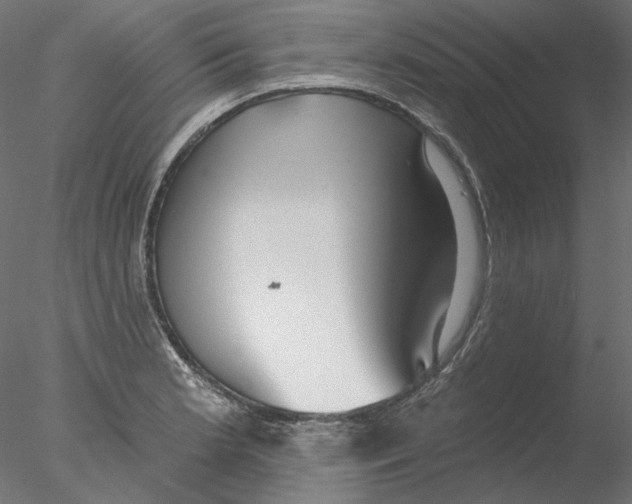 X0000076381181200611031621