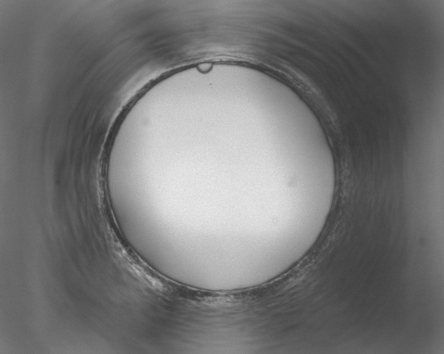 X0000076381182200611031621