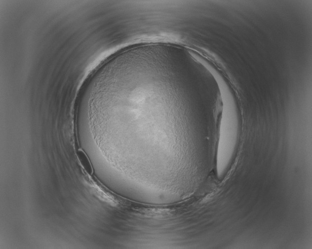 X0000076381184200611031621