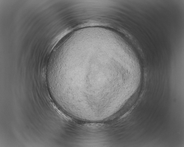 X0000076381185200611031621