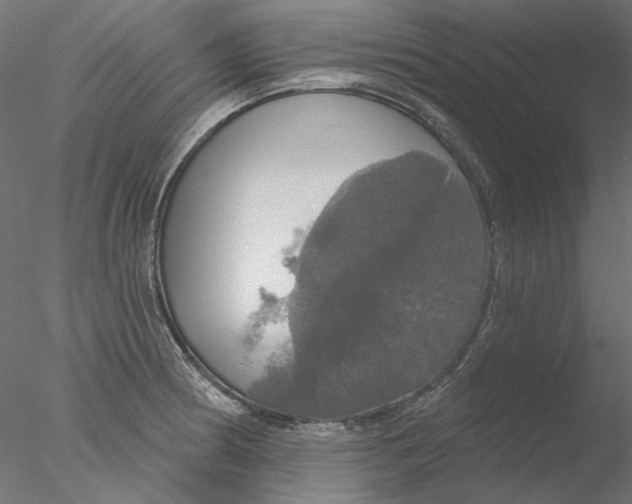 X0000076381186200611031621