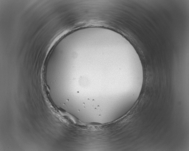 X0000076381190200611031621