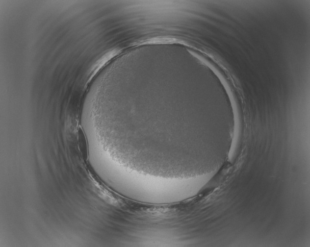 X0000076381193200611031621