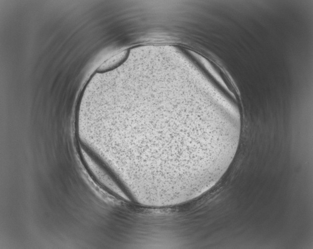 X0000076381195200611031621