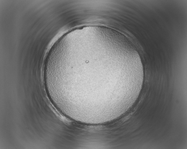 X0000076381196200611031621