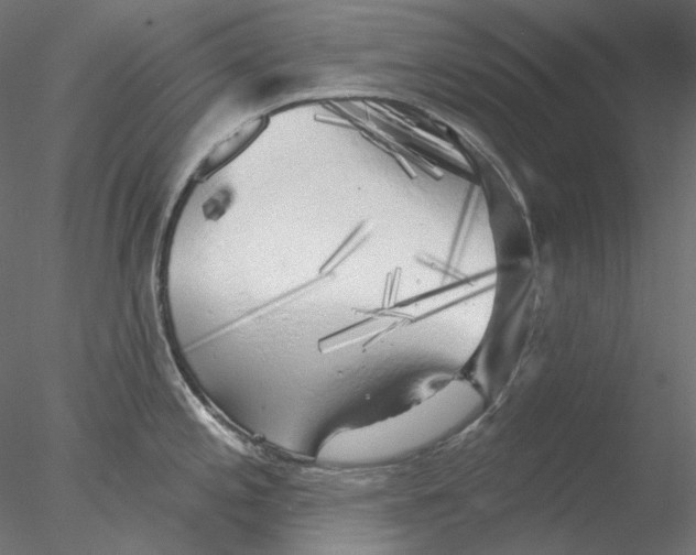 X0000076381197200611031621