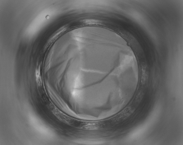 X0000076381198200611031621