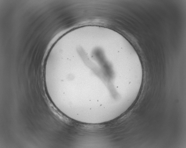 X0000076381200200611031621