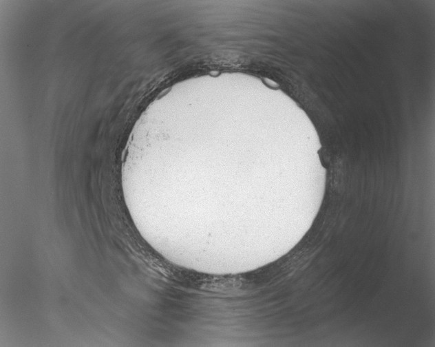 X0000076381201200611031620